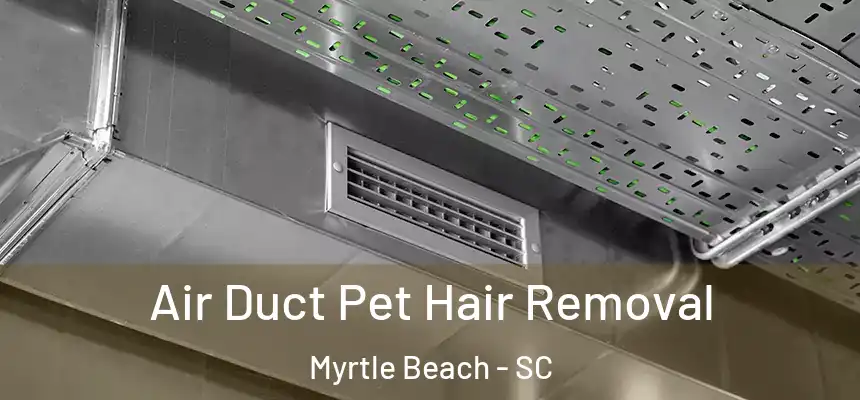 Air Duct Pet Hair Removal Myrtle Beach - SC
