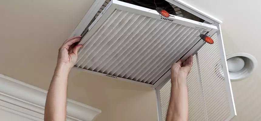 Preventive Cockroach-Proofing for Ducts in Myrtle Beach