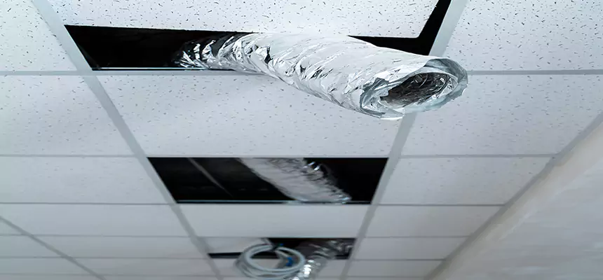 Our Air Duct Pet Hair Removal Services in Myrtle Beach, SC