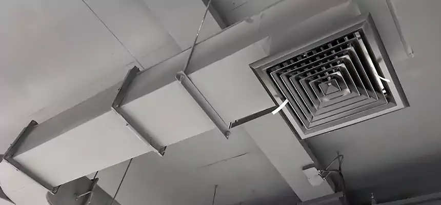 Restorative Allergy Relief Vent Cleaning – Coil, Blower & Housing Detail in Myrtle Beach