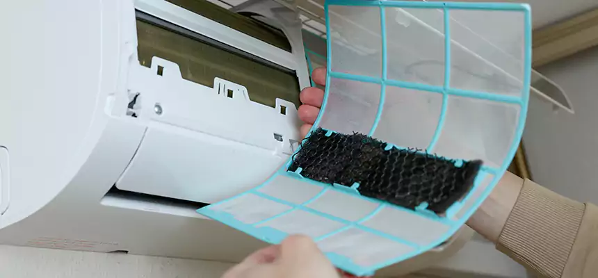 Gentle Ductwork Odor-Control Pet Dander Duct Cleaning in Myrtle Beach, SC