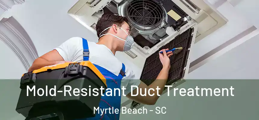 Mold-Resistant Duct Treatment Myrtle Beach - SC