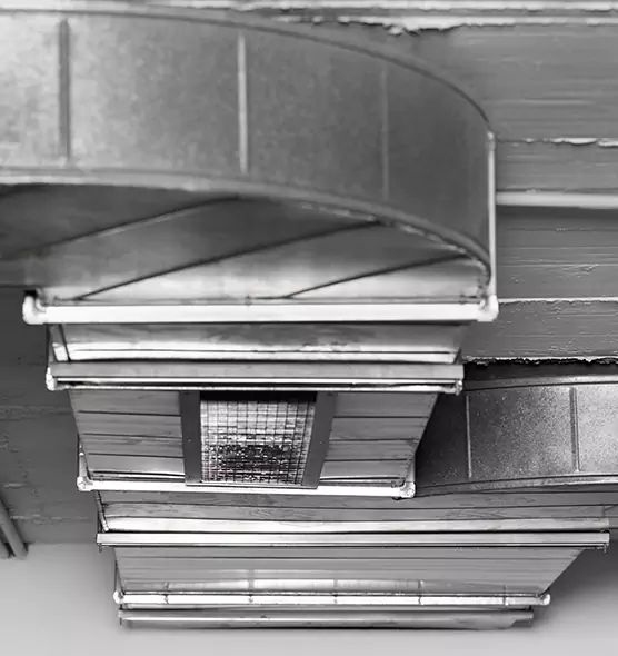 Professional Air Duct Pet Hair Removal in Myrtle Beach, SC