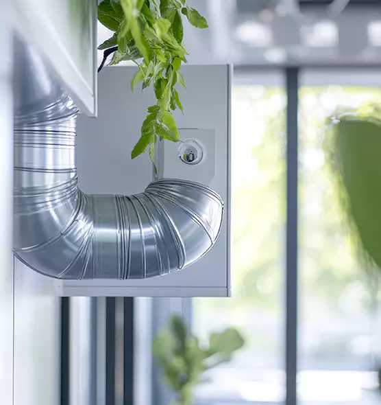 Professional Eco-Friendly Duct Cleaning Services in Myrtle Beach, SC