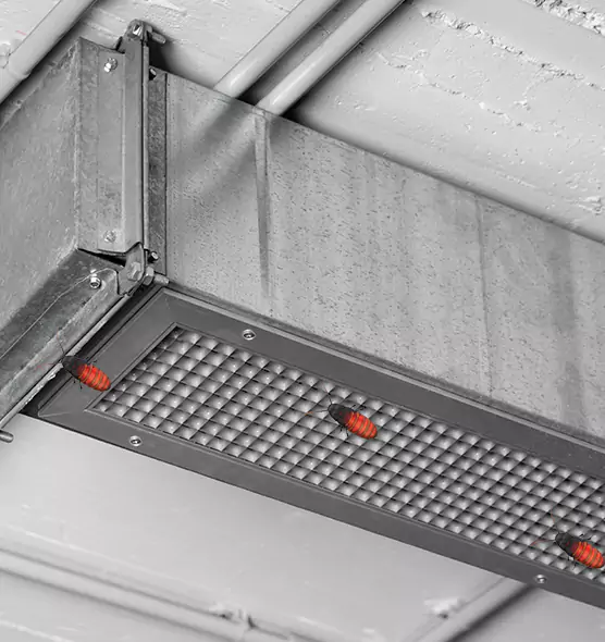 Affordable Insect Removal from Air Ducts in Myrtle Beach, SC