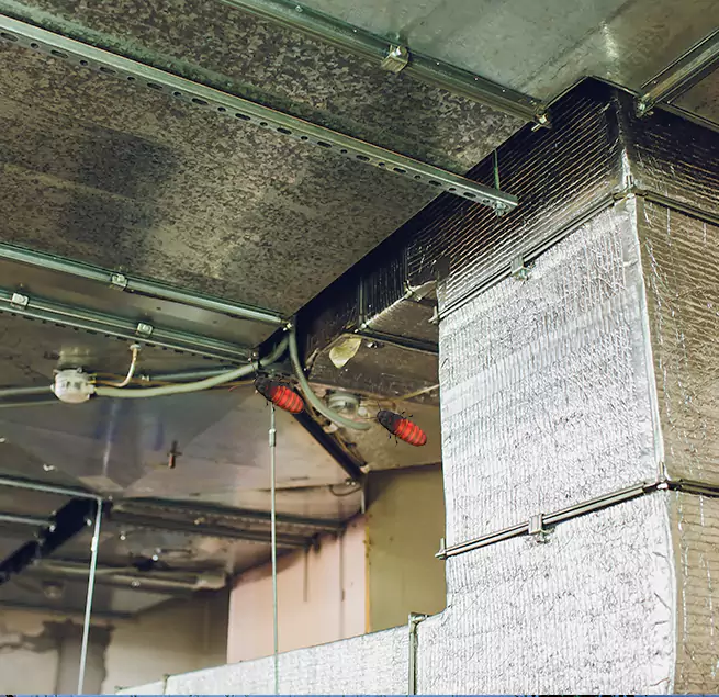 Why Homeowners & Businesses Trust Us in Myrtle Beach, SC?