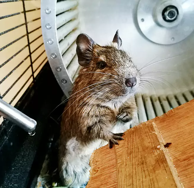 Why Homeowners & Businesses Trust Us Myrtle Beach, SC