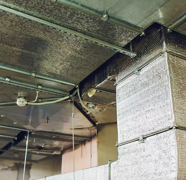 Why Homeowners & Businesses Trust Us in Myrtle Beach, SC?