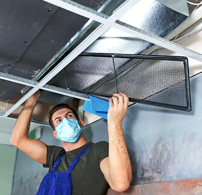 Why Homeowners Businesses Trust Us in Myrtle Beach, SC